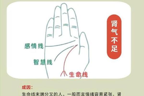 手相分析：这几种掌纹代表你常为他人操心