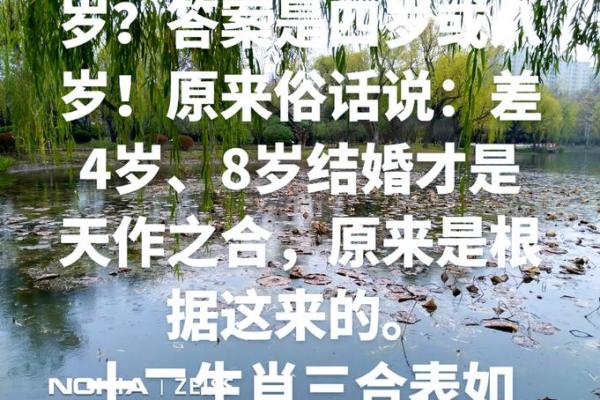 属鸡男女配对分析：天作之合还是性格冲突