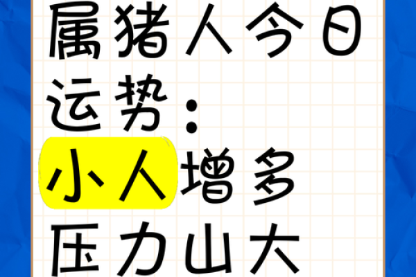 属猪人的健康运势：如何保持身体与心灵的平衡