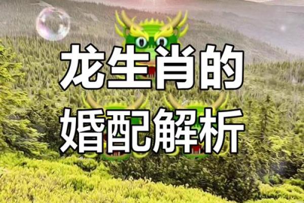 属牛男与属龙女的婚姻是否合适