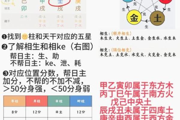 五行行业查询：如何根据五行找到适合自己的职业方向