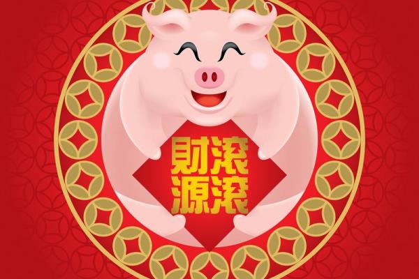 猪鼠配对的相互补充与冲突点
