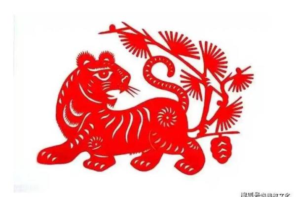 属虎人运势变化：事业发展与人际关系的调适