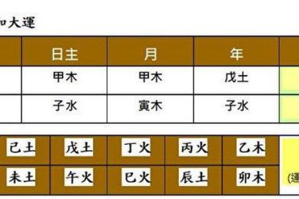 八字中哪些组合最有利事业运，揭秘命理奥秘
