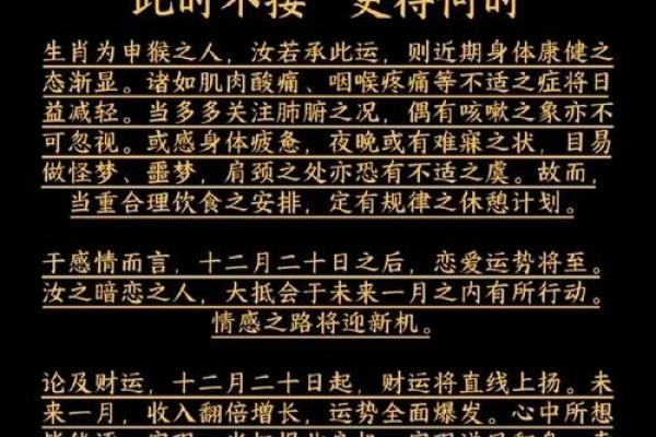 生肖猴的最佳配对，了解你的命中注定