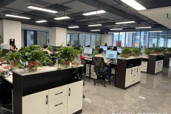 在上海如何通过风水布局提升办公环境运势