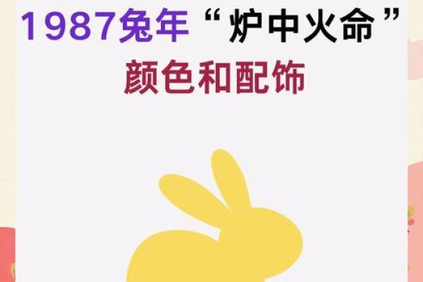 属兔的人是不是火命的详细分析
