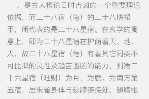 风水学中的镇宅龟及其选购指南