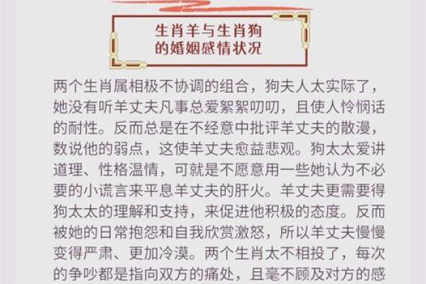 狗年婚姻配对：男狗与女狗相伴是否合适