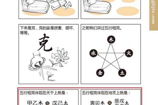 探索寸字五行：了解五行与命理的深层关系
