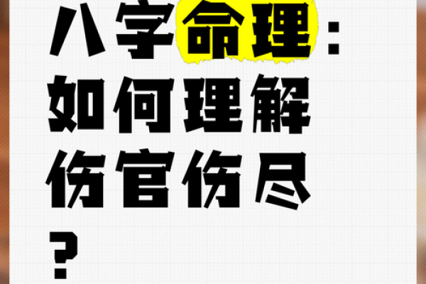 双伤官命的深层解读与命理影响分析