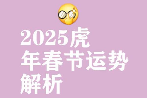 生肖运势全解析，农历新年大揭秘