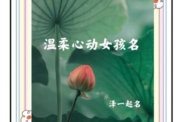 精选女生组合名字，打造属于你的专属魅力