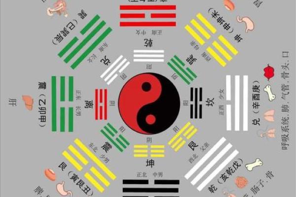 风水智慧：解密环境与命运的微妙关系