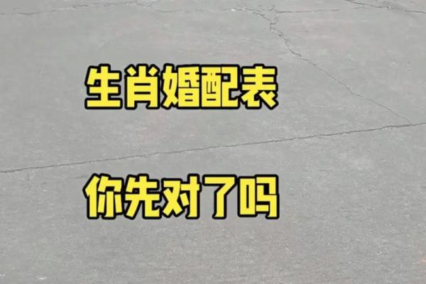 探索男牛与女羊的婚配运势