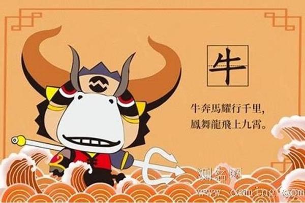 今日牛年运程详解：如何应对不同的运势变化