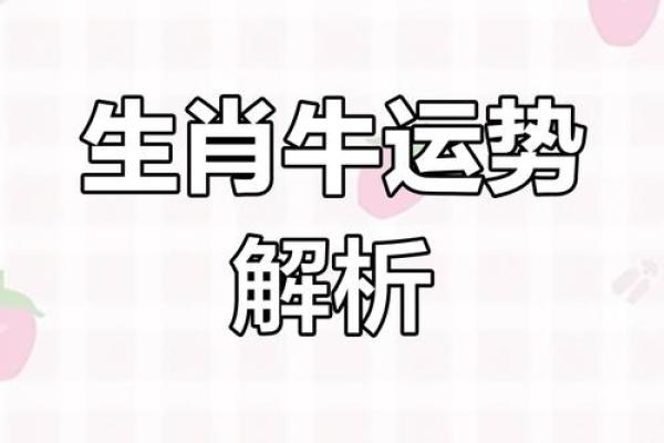 今日牛年运程详解：如何应对不同的运势变化