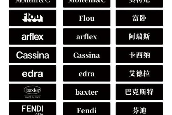提升品牌影响力的关键：国外公司名称的艺术