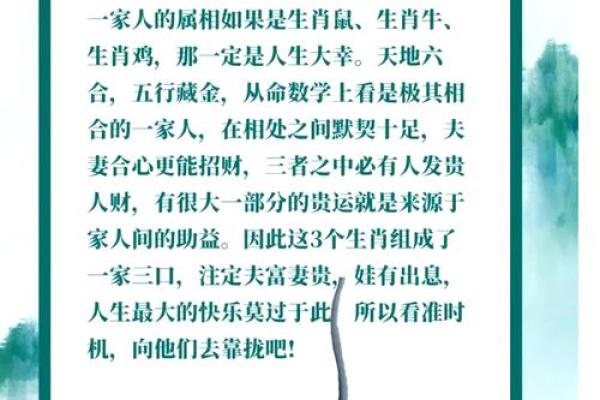 属鼠人的五行属性，你的命运走向如何