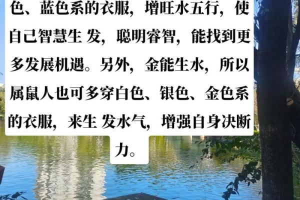 属鼠人的五行属性，你的命运走向如何