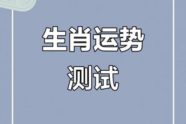 各生肖运势揭秘，如何迎接好运的到来