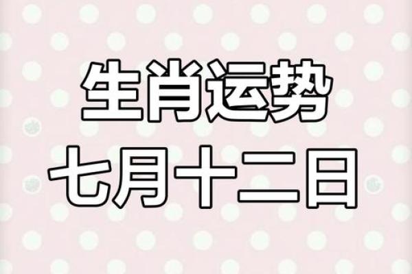 各生肖运势揭秘，如何迎接好运的到来