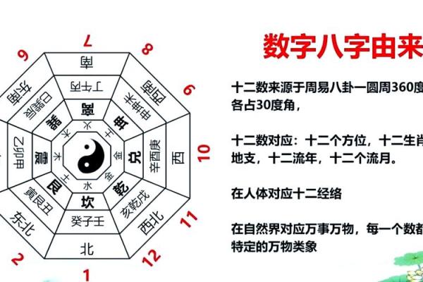 风水趋势分析与运势预测