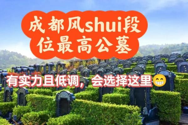 公墓旁居住对风水的影响与注意事项