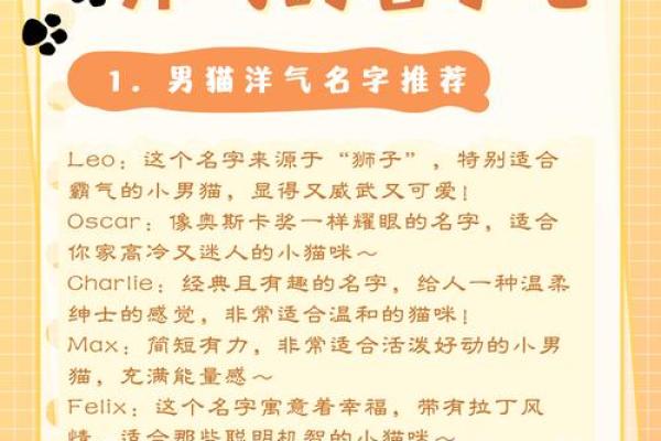 猫咪名字推荐：最可爱的猫名大全