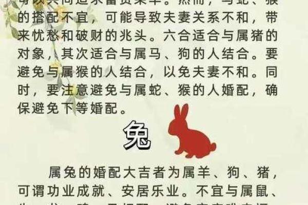 男鼠女虎是否天作之合？生肖配对分析揭秘