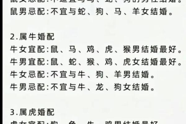 男鼠女虎是否天作之合？生肖配对分析揭秘