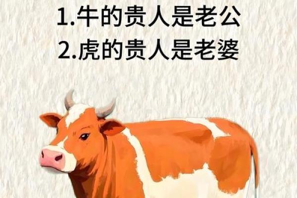 龙和猴在生肖中的相配程度与性格碰撞