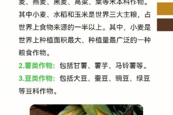 农业项目策划公司命名的创意与技巧解析