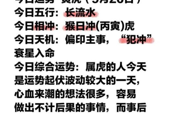 属相在的运程走向，运势波动如何应对