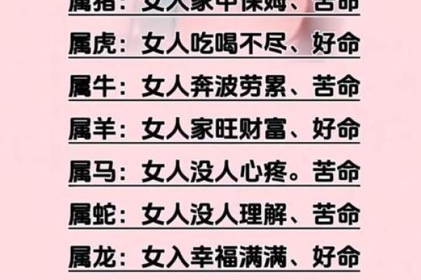 属马运程指南：财运、事业与感情全方位分析