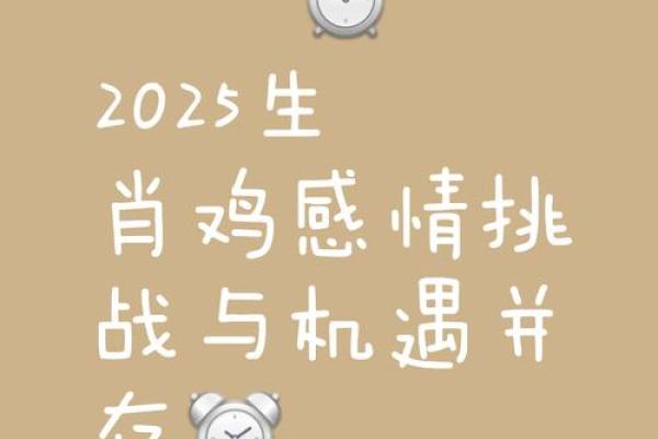 属鸡人爱情运势及婚姻建议