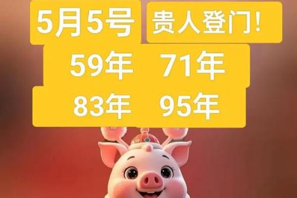 本命年猪男如何规避财务风险