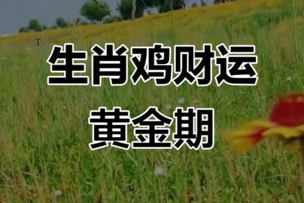 鸡人财运预测：财富增长的关键时机