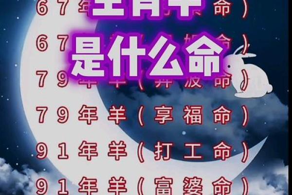属羊的人运势全解析