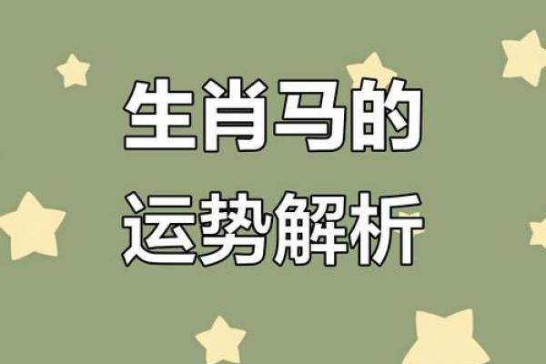 属马与命运的关系：命格中的马年之象