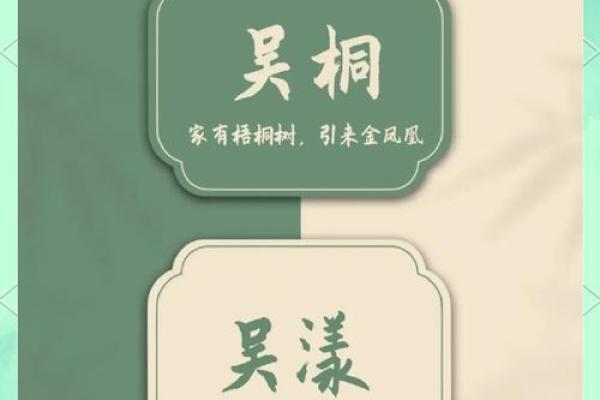 如何为吴宝宝起个寓意深远的名字