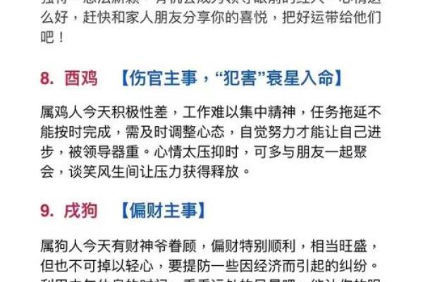 肖运程：如何应对不同属相的命运波动