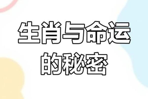 肖运程：如何应对不同属相的命运波动