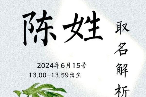 陈姓男宝宝名字推荐：既传统又有创意的选择