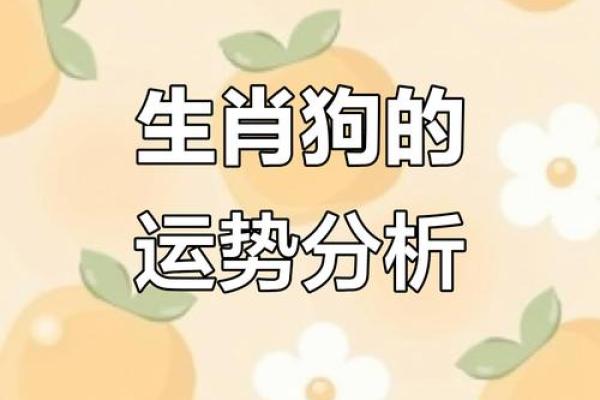 属狗女与属蛇男的配对是否合适？深入分析两者的缘分与挑战