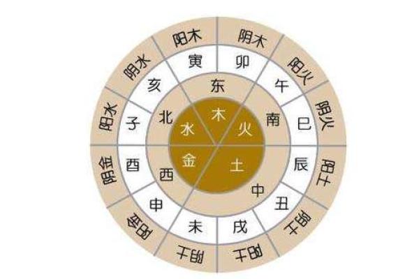 探究阴命水相人的命运特征与运势