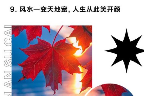 家居风水调整：让你的家更有好运