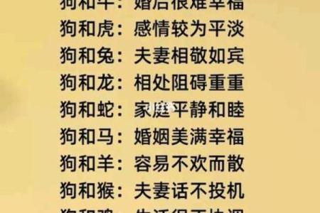 狗男本命年如何提升个人魅力
