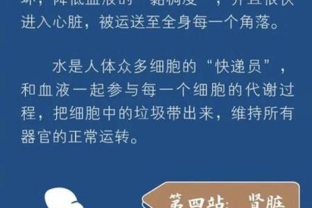 水在命理中的忌讳与健康缺失的关系