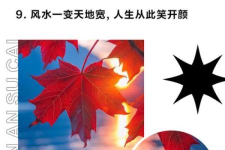 家居风水调整：让你的家更有好运